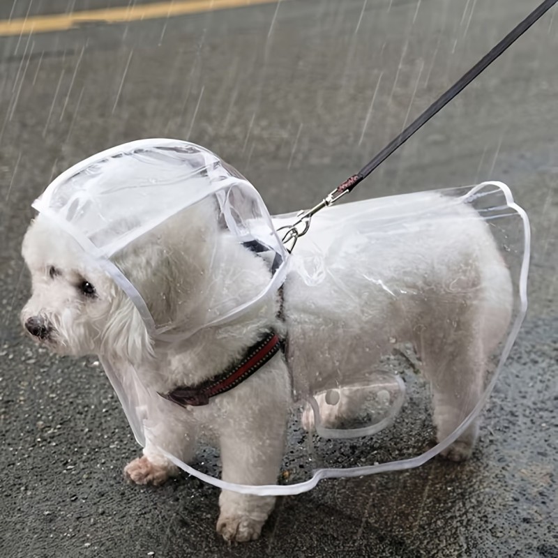 Imperméable transparent pour chien - PVC, imperméable sur tous les côtés, design boutonné pour les petits à moyens chiens, idéal