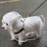 Imperméable transparent pour chien - PVC, imperméable sur tous les côtés, design boutonné pour les petits à moyens chiens, idéal