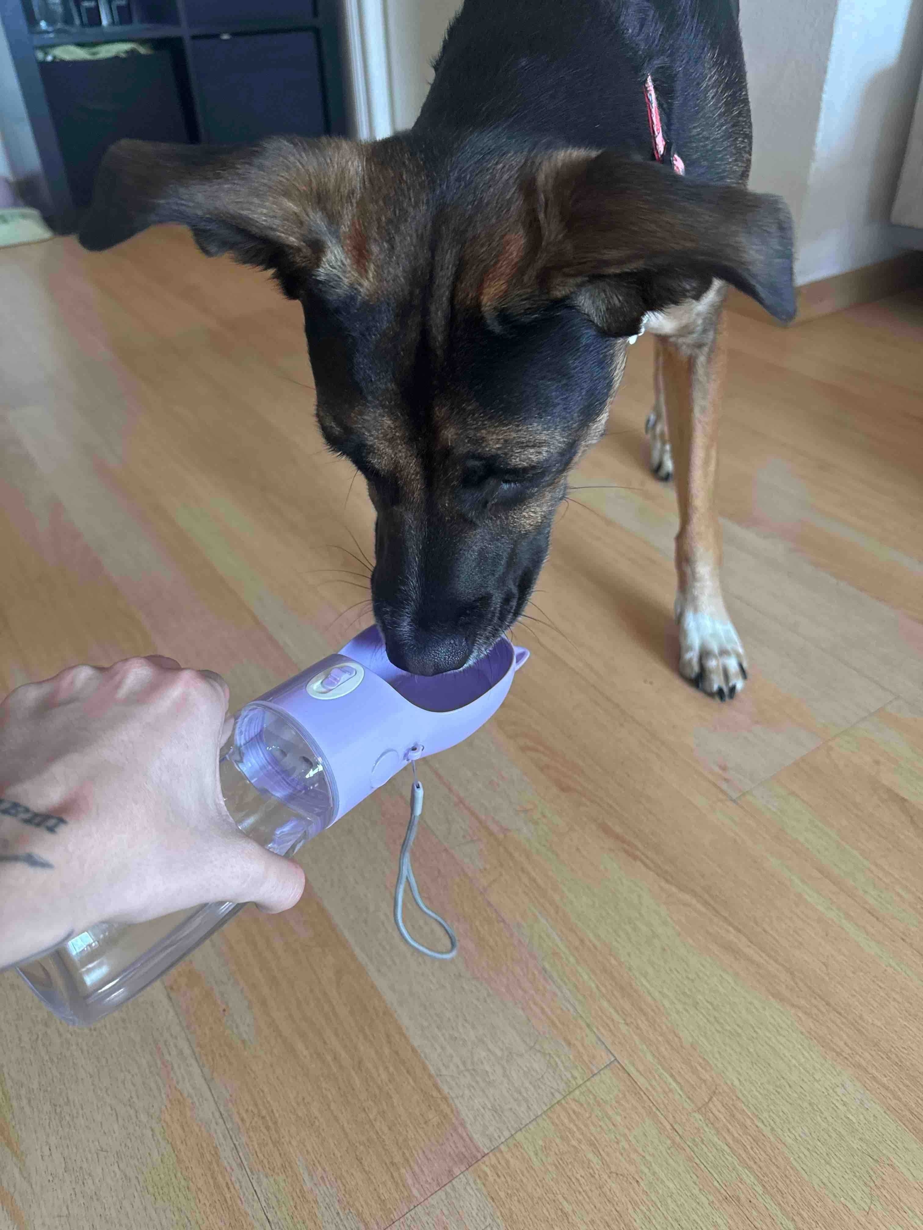 bouteille portable pour - conteneur de pour animaux de compagnie Ã©tanche avec bol , idÃ©al pour les et les activitÃ©s de , plastique durable, facile Ã  nettoyer, bouteille pour animaux de compagnie de voyage | design transparent | plastique durable, bouteille pour DÃ©tails du produit 0