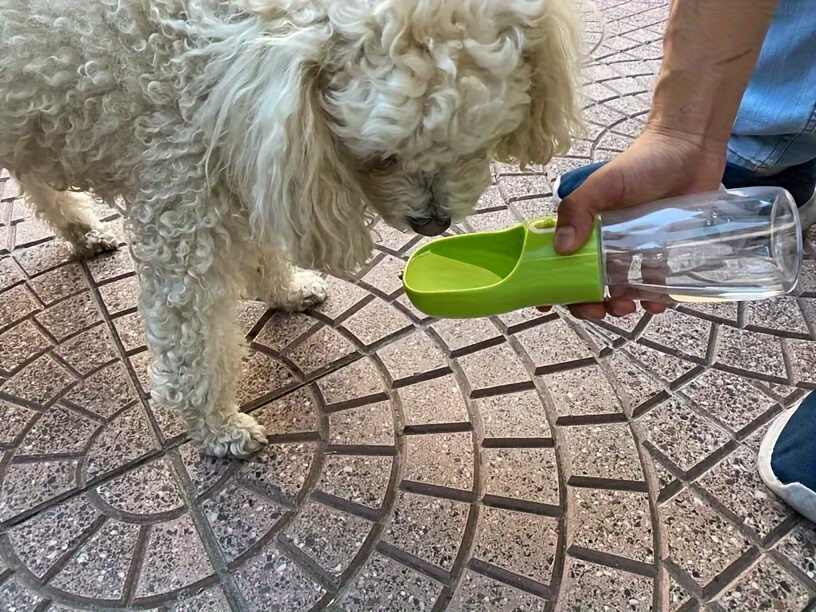 bouteille portable pour - conteneur de pour animaux de compagnie Ã©tanche avec bol , idÃ©al pour les et les activitÃ©s de , plastique durable, facile Ã  nettoyer, bouteille pour animaux de compagnie de voyage | design transparent | plastique durable, bouteille pour DÃ©tails du produit 2