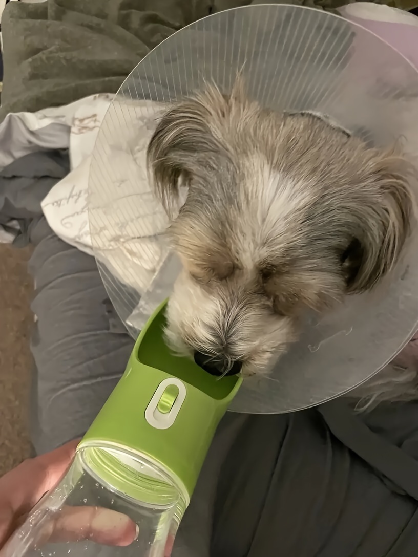 bouteille portable pour - conteneur de pour animaux de compagnie Ã©tanche avec bol , idÃ©al pour les et les activitÃ©s de , plastique durable, facile Ã  nettoyer, bouteille pour animaux de compagnie de voyage | design transparent | plastique durable, bouteille pour DÃ©tails du produit 1
