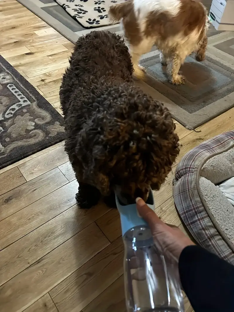 bouteille portable pour - conteneur de pour animaux de compagnie Ã©tanche avec bol , idÃ©al pour les et les activitÃ©s de , plastique durable, facile Ã  nettoyer, bouteille pour animaux de compagnie de voyage | design transparent | plastique durable, bouteille pour DÃ©tails du produit 3