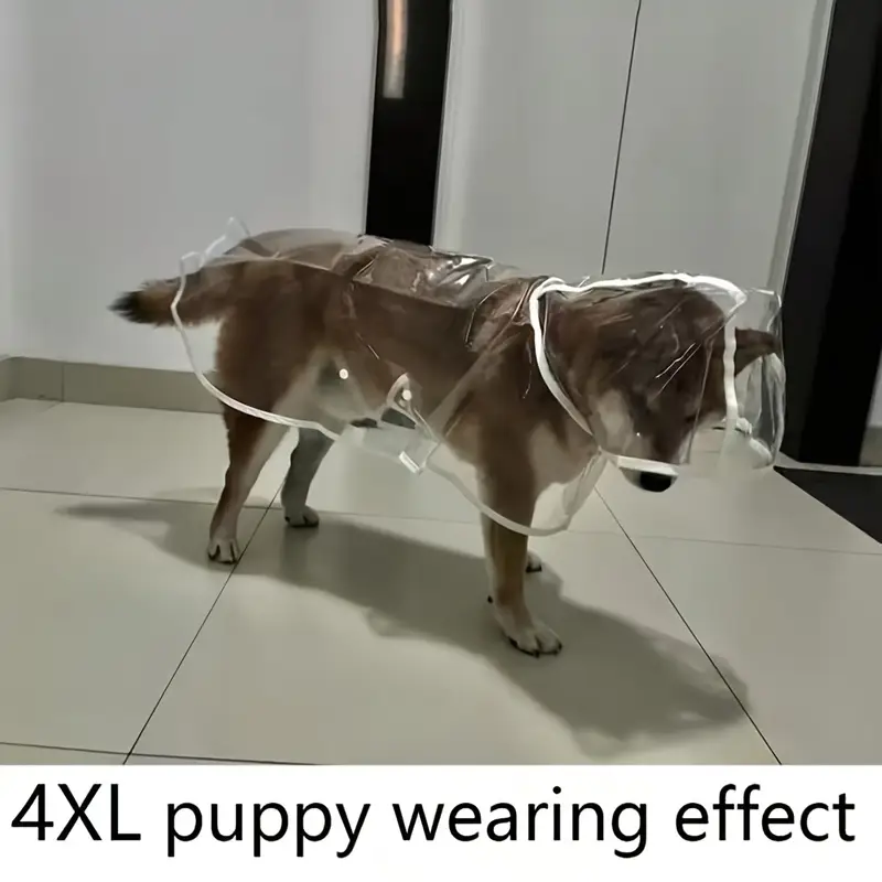 impermÃ©able transparent pour - pvc, impermÃ©able sur les cÃ´tÃ©s, design boutonnÃ© pour Ã  moyens s, idÃ©al pour teddy et bichon frise, Ã©quipement de marche pour pluvieux, impermÃ©able pour | impermÃ©able transparent | impermÃ©able pvc DÃ©tails du produit 6