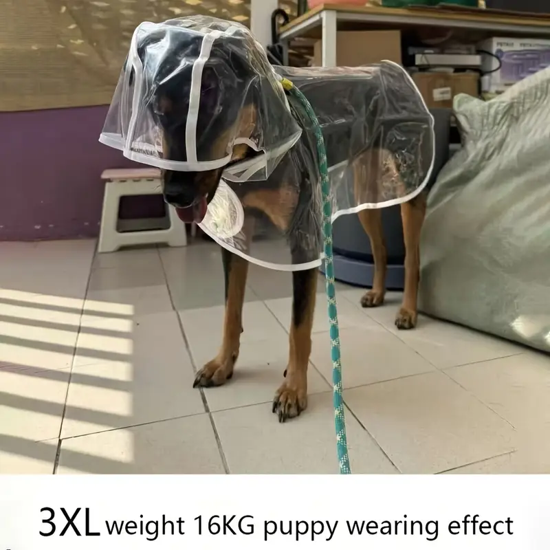 impermÃ©able transparent pour - pvc, impermÃ©able sur les cÃ´tÃ©s, design boutonnÃ© pour Ã  moyens s, idÃ©al pour teddy et bichon frise, Ã©quipement de marche pour pluvieux, impermÃ©able pour | impermÃ©able transparent | impermÃ©able pvc DÃ©tails du produit 10